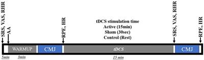 Effects of bi-hemispheric anodal transcranial direct current stimulation on soccer player performance: a triple-blinded, controlled, and randomized study
